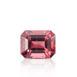 Garnet